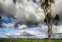 关于卡西：舆论对阿隆索不公平皇马现在又不是落后巴萨12分的信息